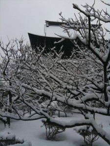 善光寺北口から本堂を見る(2011年1月15日，大雪の日）