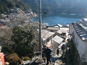 須賀利地区の街並み